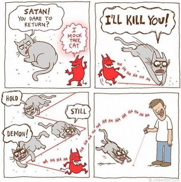 Cats Vs Laser Pointers