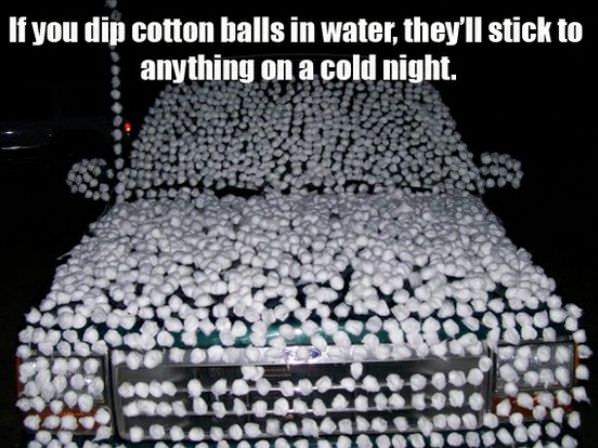 Cotton Balls