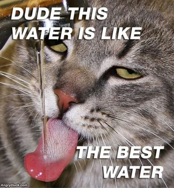 Dude This Water
