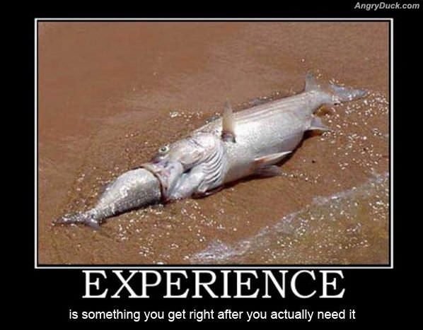 Experience