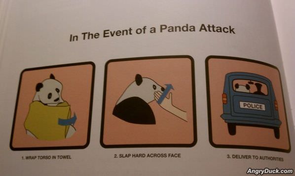 Panda Attacks