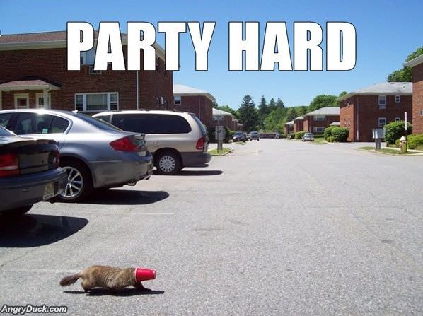 Party Hard