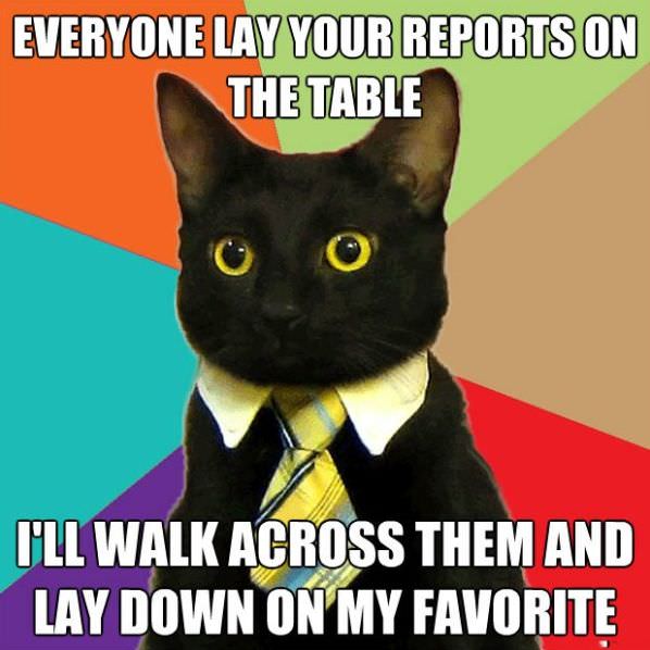 Reports On The Table