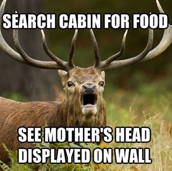 Search Cabin For Food