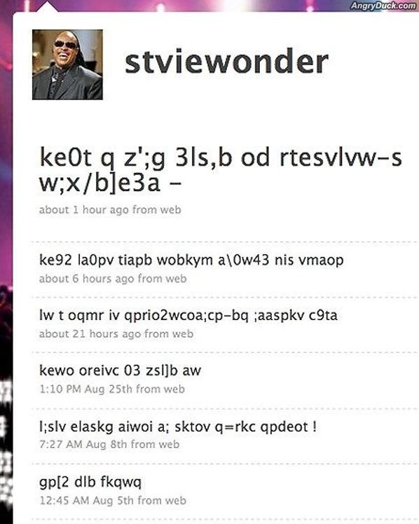 Stevie Wonders Twitter