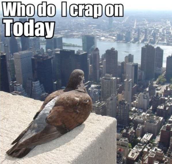 Tough Life Decisions