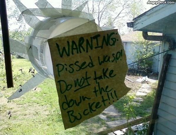Warning Pissed Wasp