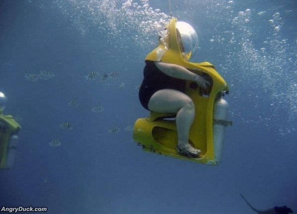 Whales Natural Environment