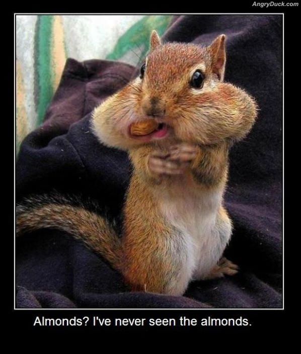 What Almonds