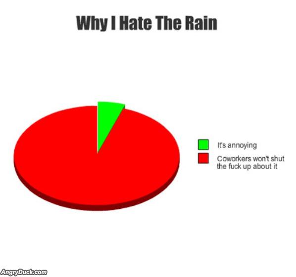 Why I Hate Rain