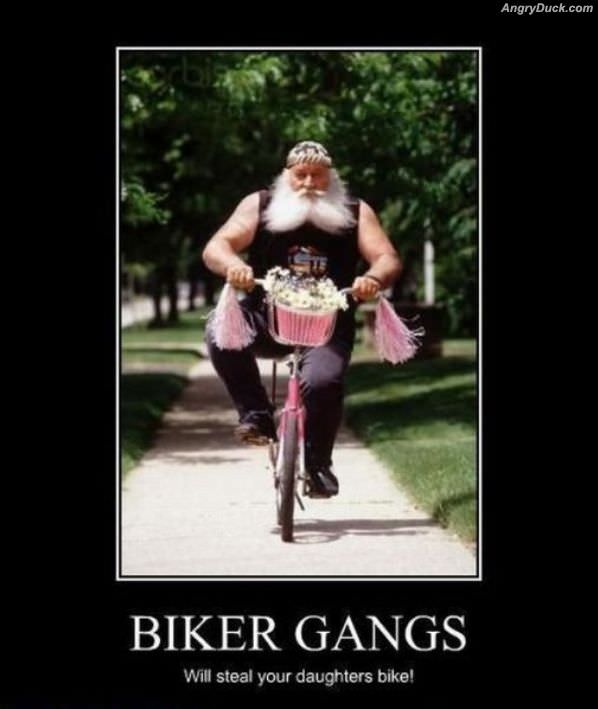 Biker Gangs