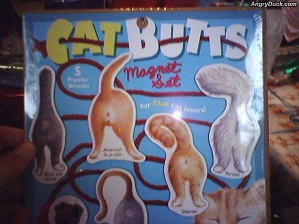 Cat Butts Magnets