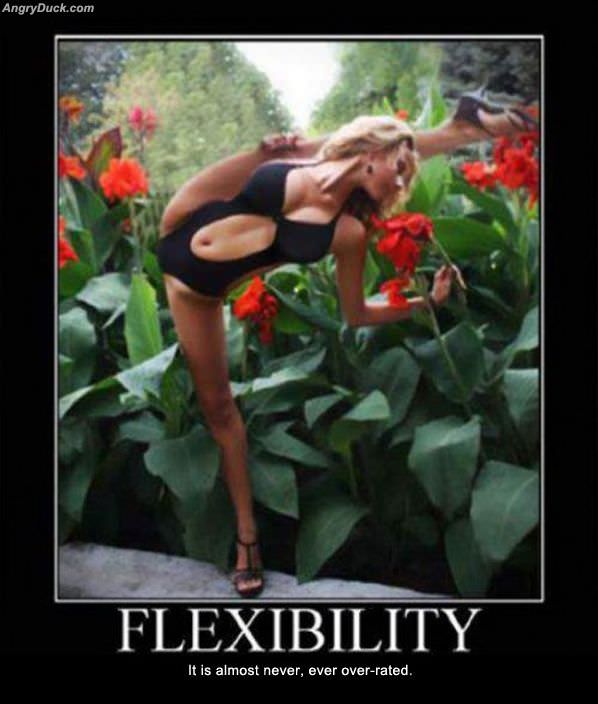 Flexibility