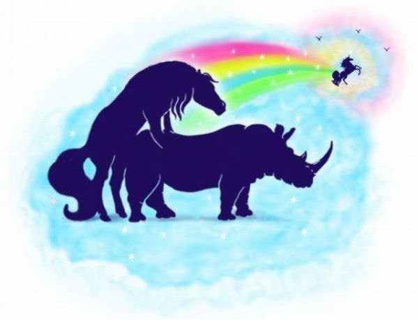 How Unicorns Are Made