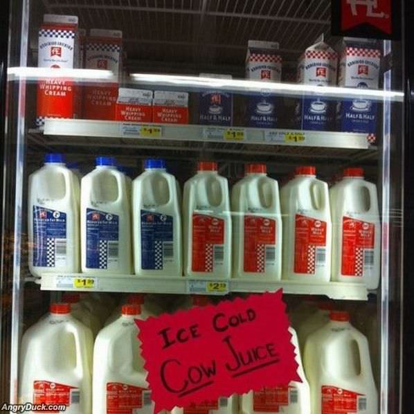 Ice Cold Cow Juice