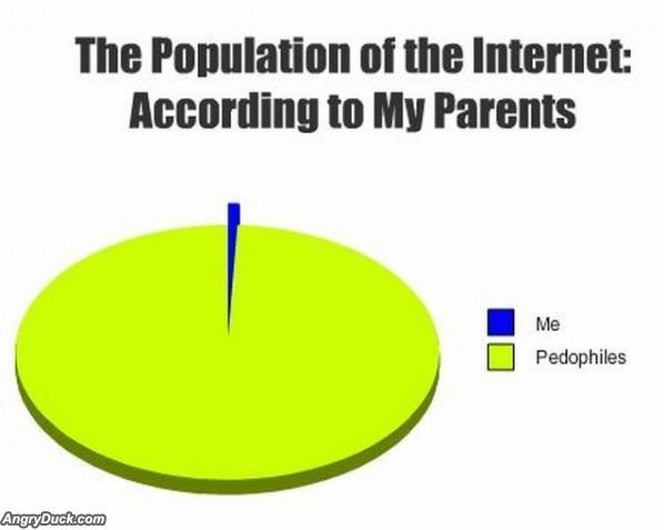 Internet Population