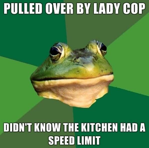 Lady Cop