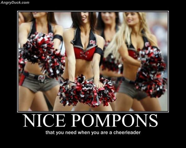 Nice Pompoms