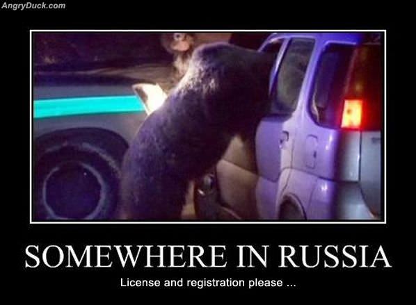 Somewhere In Russia