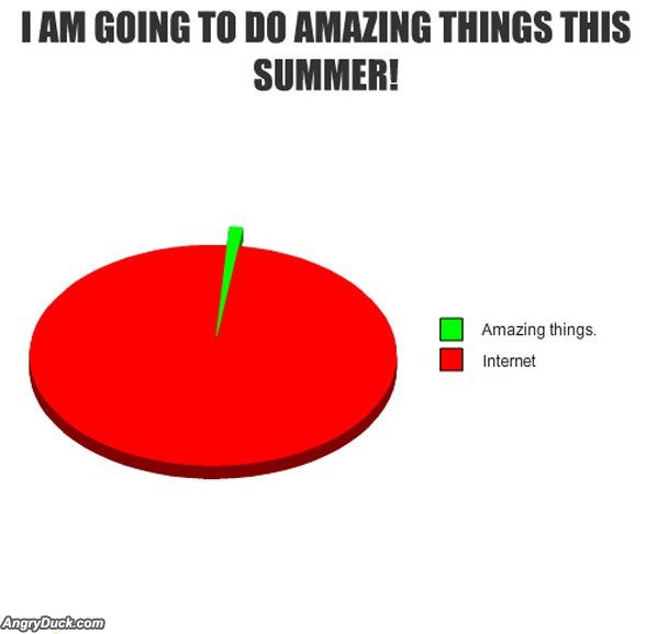 This Summer