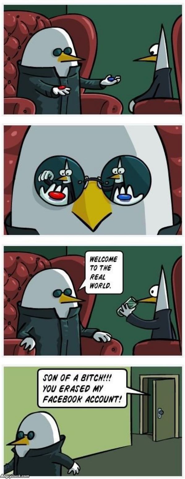 Welcome To The Real World