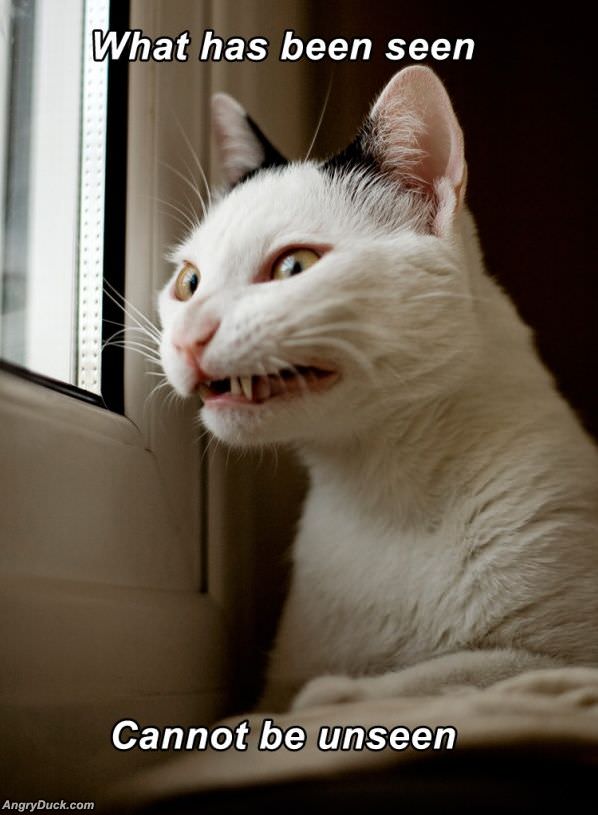 What Has Been Seen Cannot