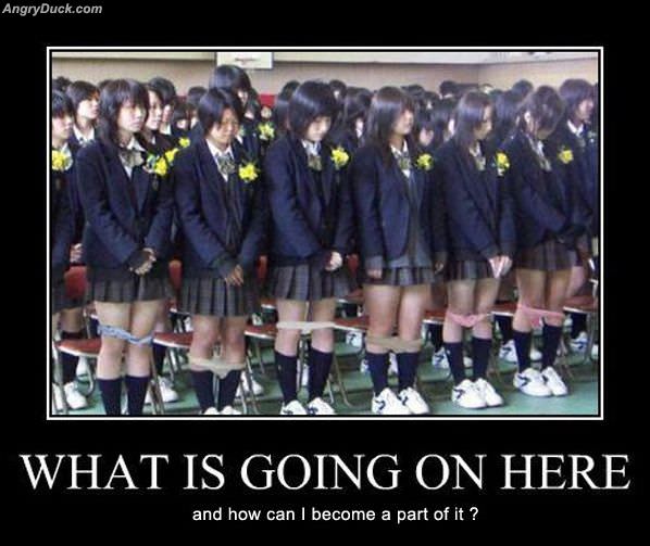 What Is Going On Here