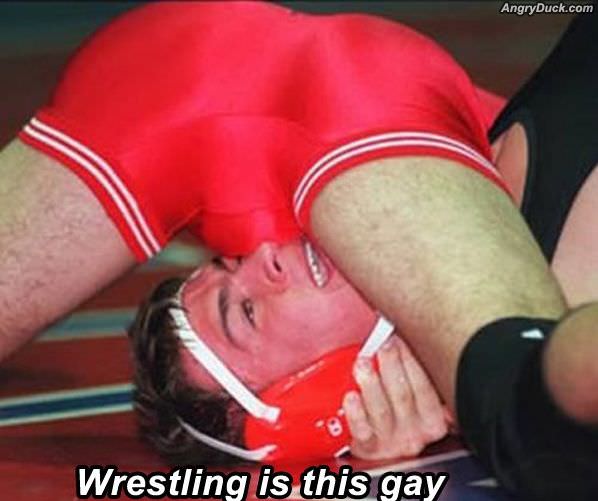 Wrestling Is This Gay