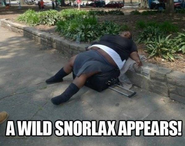 Another Wild Snorlax