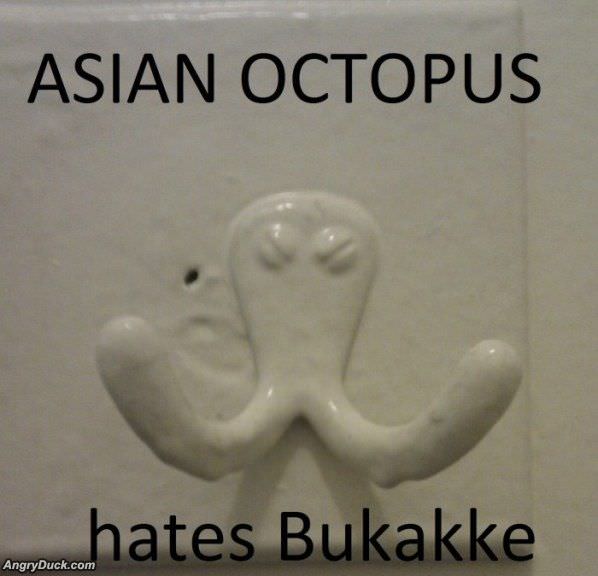 Asian Octopus