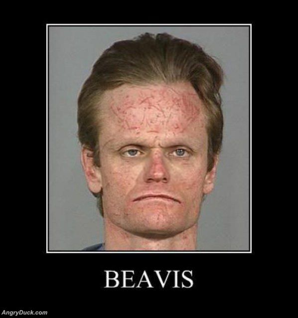 Beavis