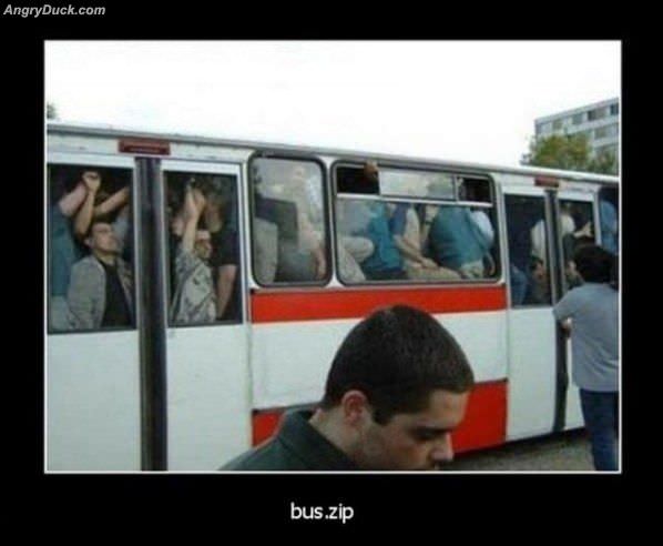 Bus Zip