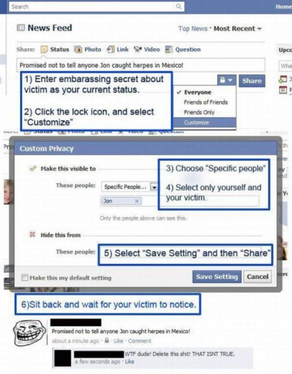 Facebook Trolling Is A Art