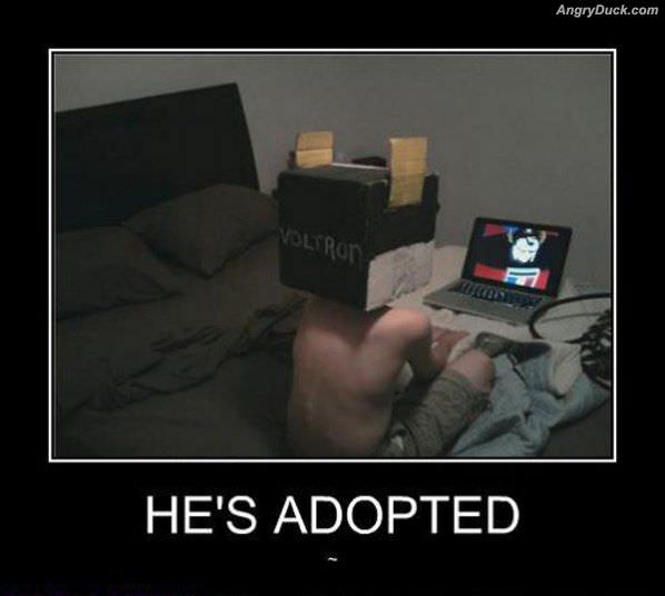 Hes Adopted