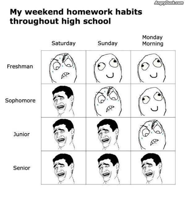 Highschool Homework Habits