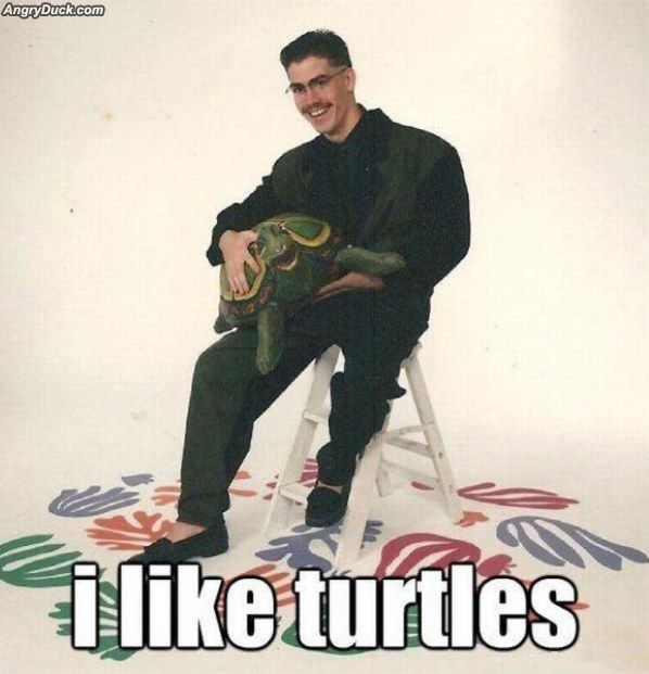 I Like Turtles