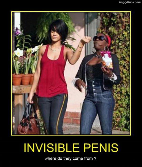 Invisible Penis