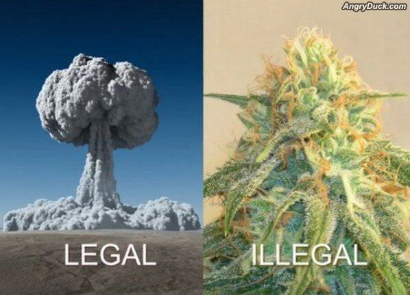 Legal And Illegal