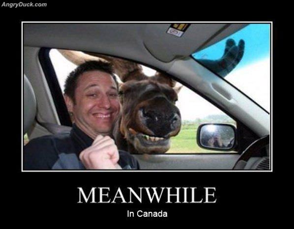 Meanwhile In Canadia