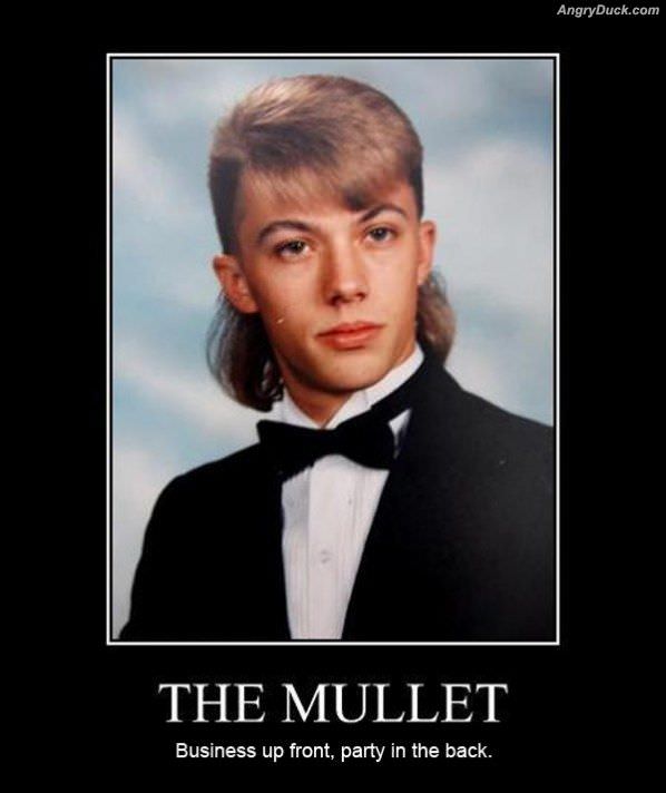 The Mullet