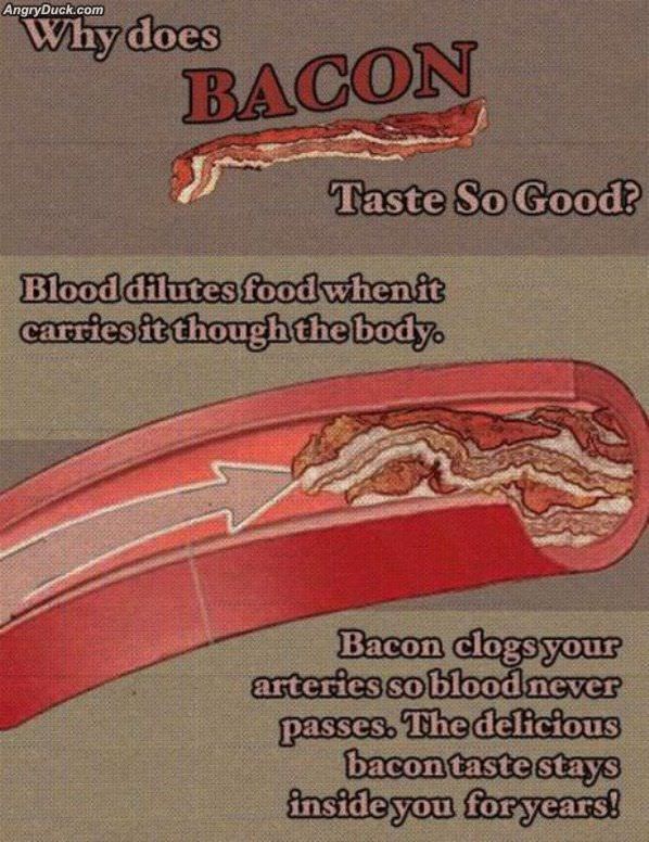 Why Is Bacon So Good