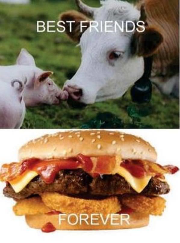 Best Friends Forever