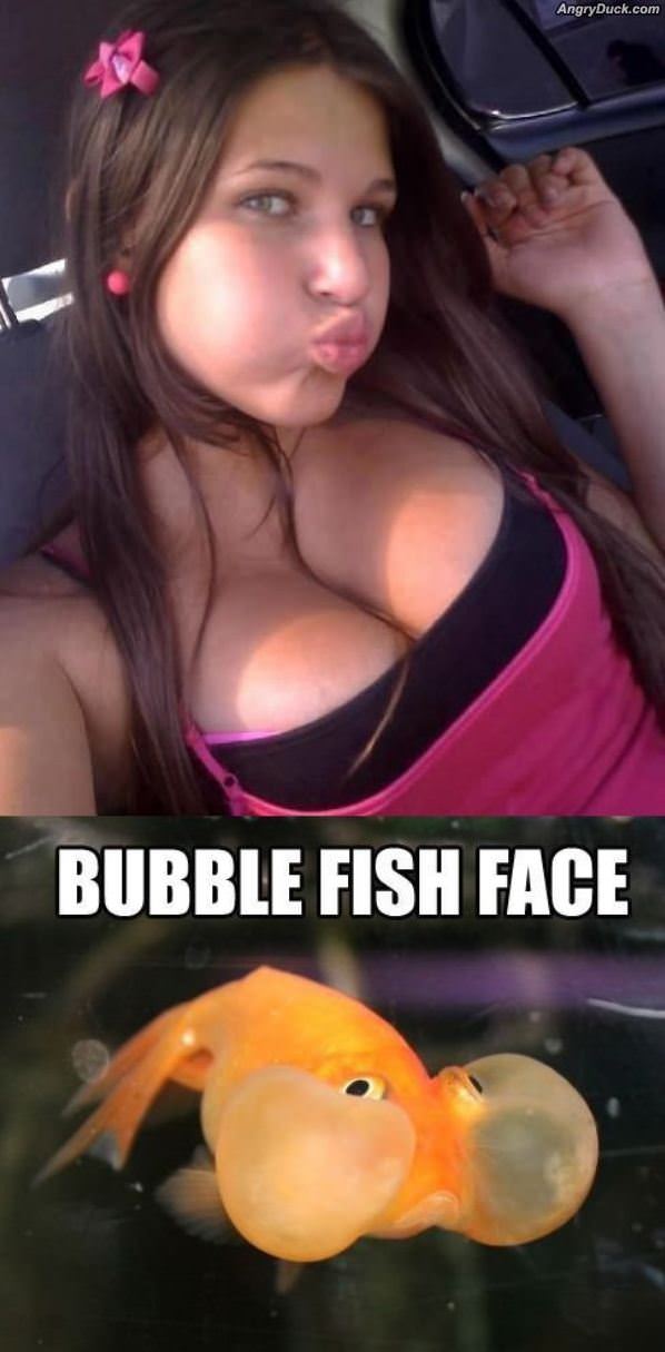 Bubble Fish Face