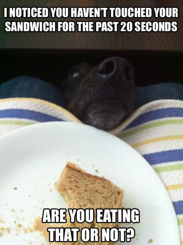 Can I Have Some