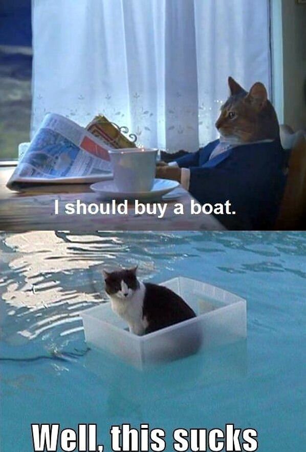 Cat Boat