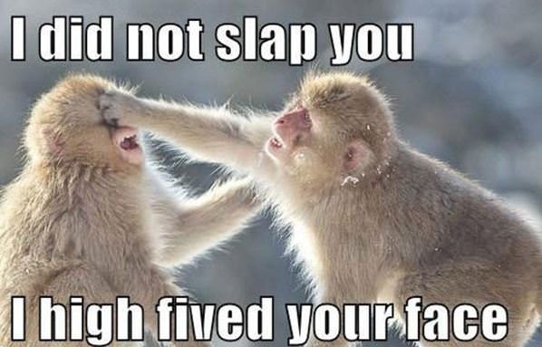 Did Not Slap You