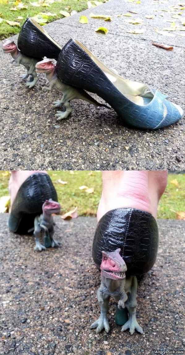 Dino Shoes