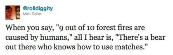 Forest Fires