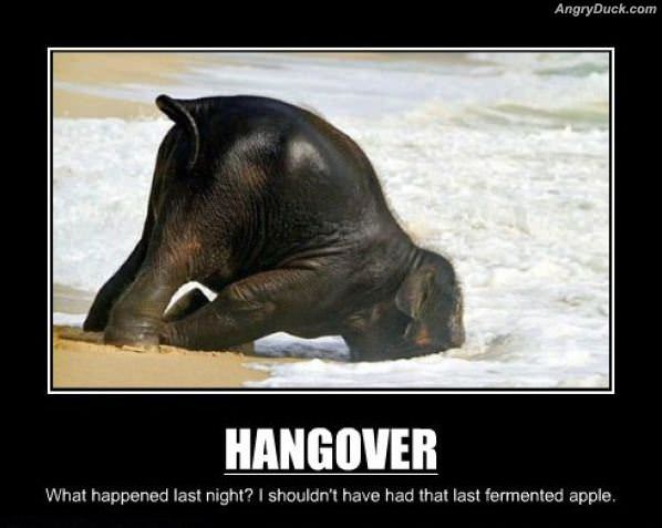 Hangover