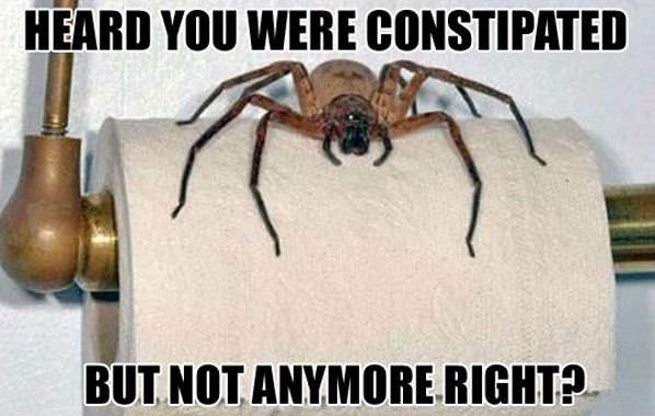 Heard You Were Constipated